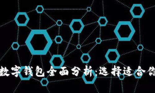 最受欢迎的数字钱包全面分析：选择适合你的支付方式
