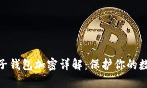 : 区块链电子钱包加密详解：保护你的数字资产安全