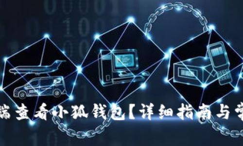 如何在电脑端查看小狐钱包？详细指南与常见问题解答