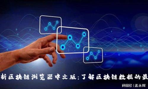 全面解析区块链浏览器中文版：了解区块链数据的最佳工具