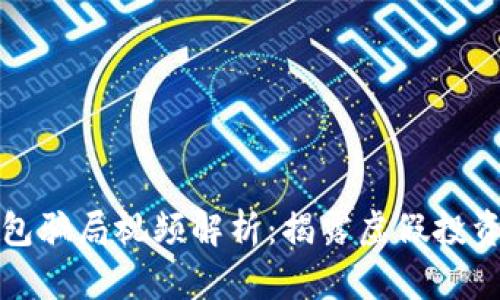 小狐钱包骗局视频解析：揭露虚假投资的真相