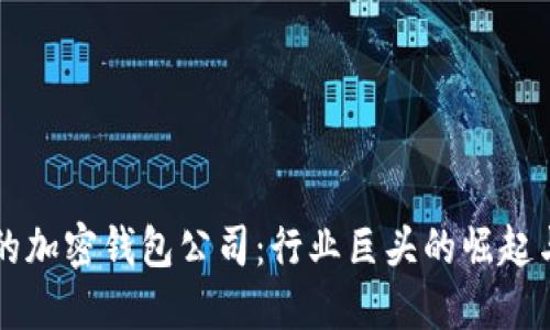 全球最大的加密钱包公司：行业巨头的崛起与未来展望