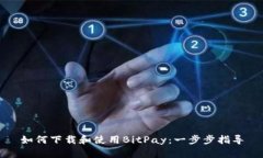 如何下载和使用BitPay：一