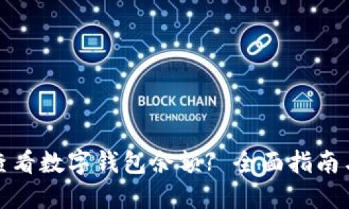 如何查看数字钱包余额? 全面指南与技巧