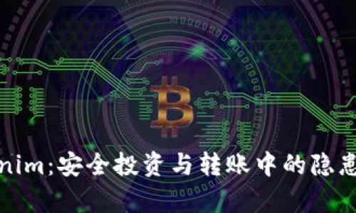 Tokenim：安全投资与转账中的隐患解析