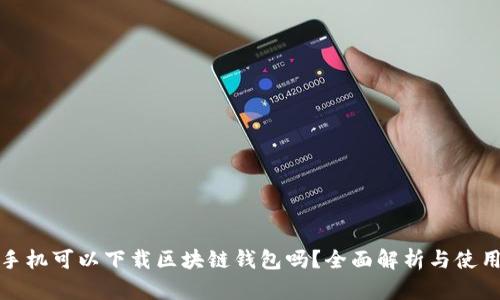 安卓手机可以下载区块链钱包吗？全面解析与使用指南