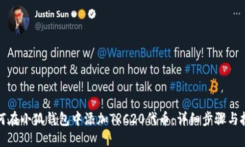 如何在小狐钱包中添加TRC20代币：详细步骤与技巧