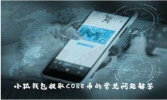 小狐钱包提取CORE币的常见