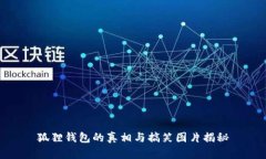 狐狸钱包的真相与搞笑图