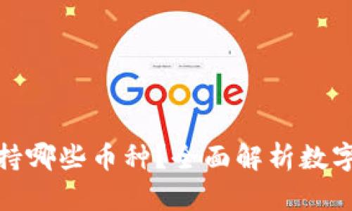 : 小狐狸钱包支持哪些币种？全面解析数字货币存储与管理