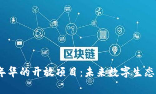 探索Web3嘉年华的开放项目：未来数字生态的创新与机遇