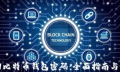 如何找回比特币钱包密码：全面指南与实用技巧
